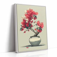Bougainvillea in Bloom