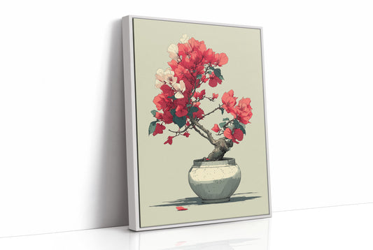 Bougainvillea in Bloom