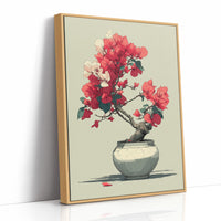 Bougainvillea in Bloom