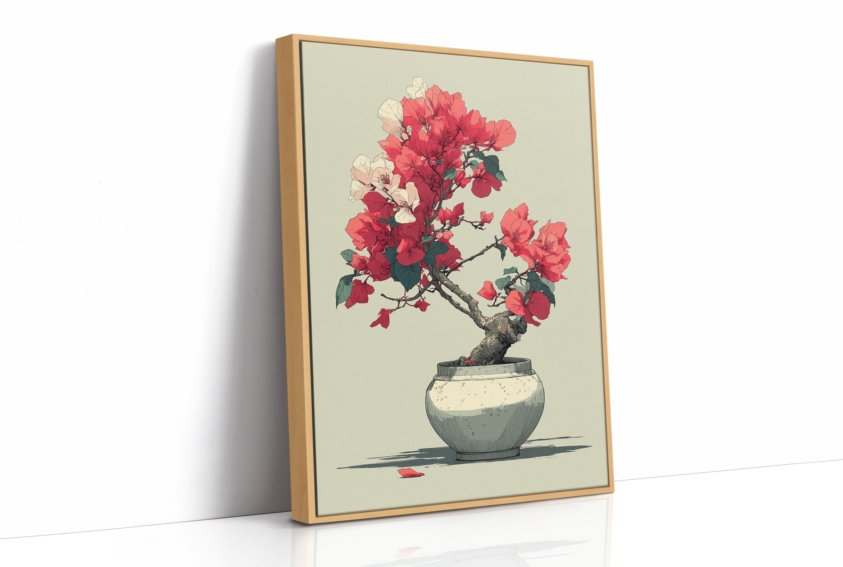 Bougainvillea in Bloom