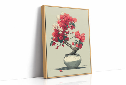 Bougainvillea in Bloom