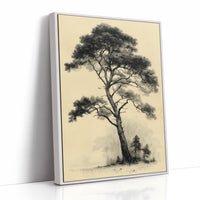The Pine That Outlasted Everything