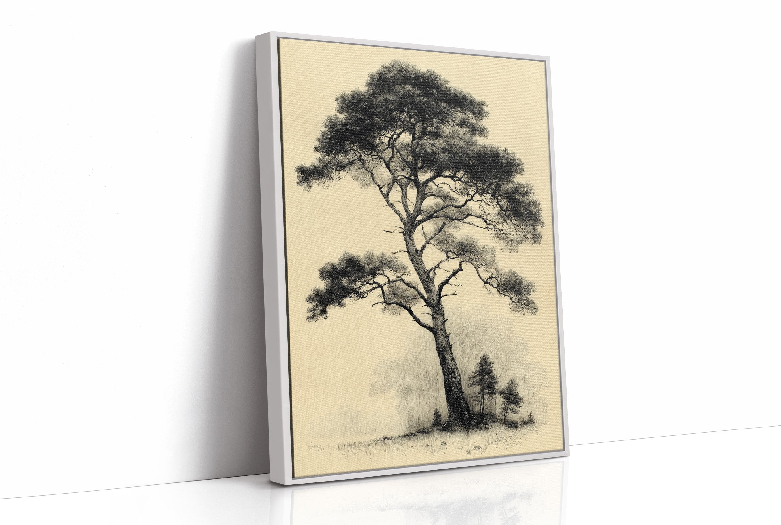 The Pine That Outlasted Everything