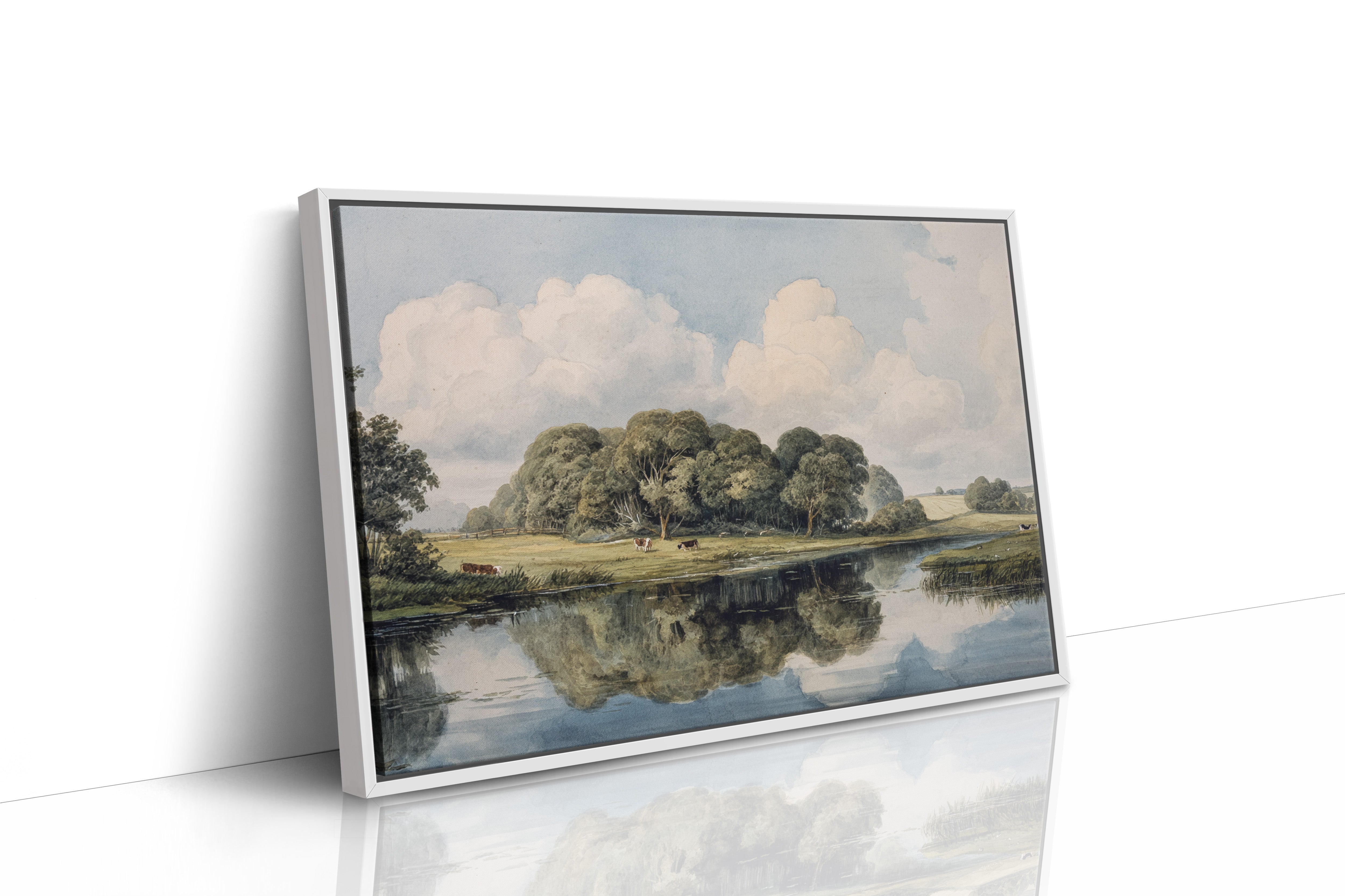 Summer Cattle Rest By Still Waters