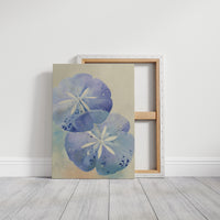 Lavender Sand Dollars Whisper Secrets