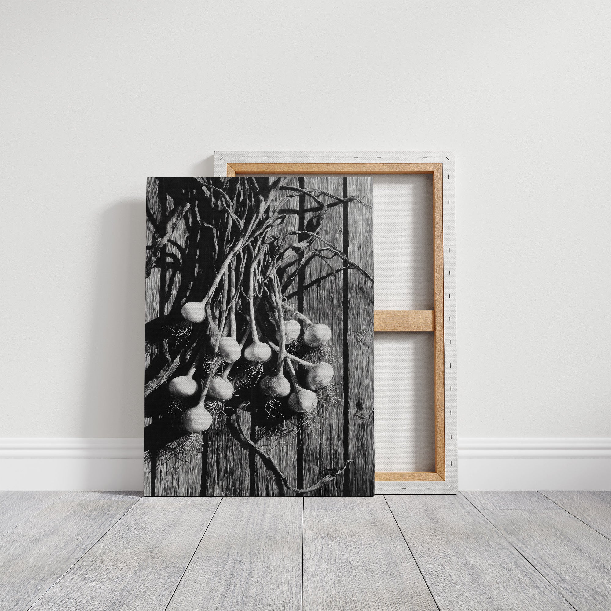 Garlic Hanging In Shadow