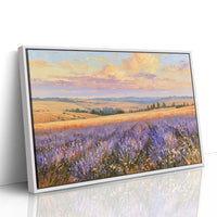 Lavender Fields, Golden Hour