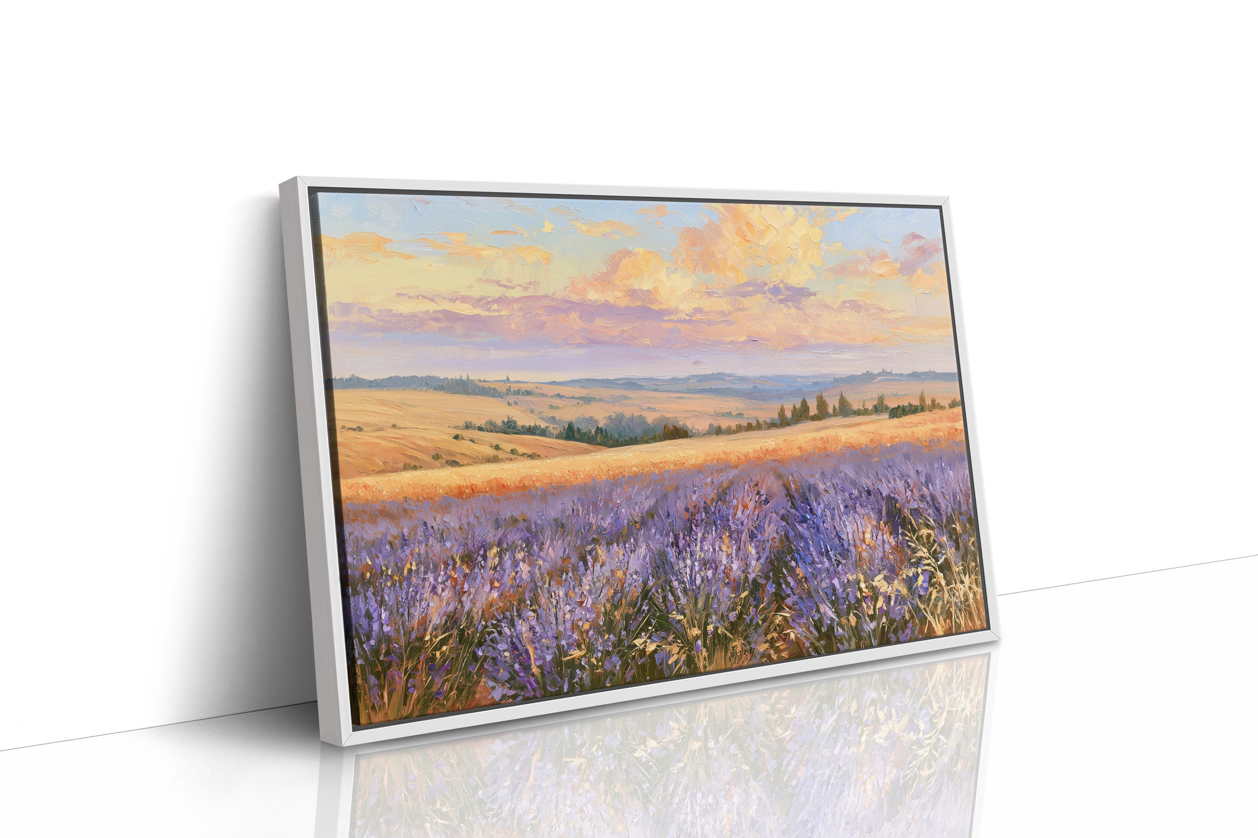 Lavender Fields, Golden Hour