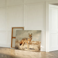 Lone Coyote in the Sun