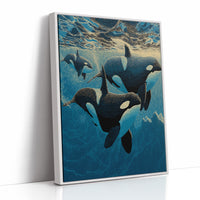 Orca Pod Below the Surface