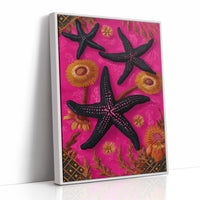 Stars That Never Left the Sea