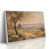 Shepherd's Path In Golden Light