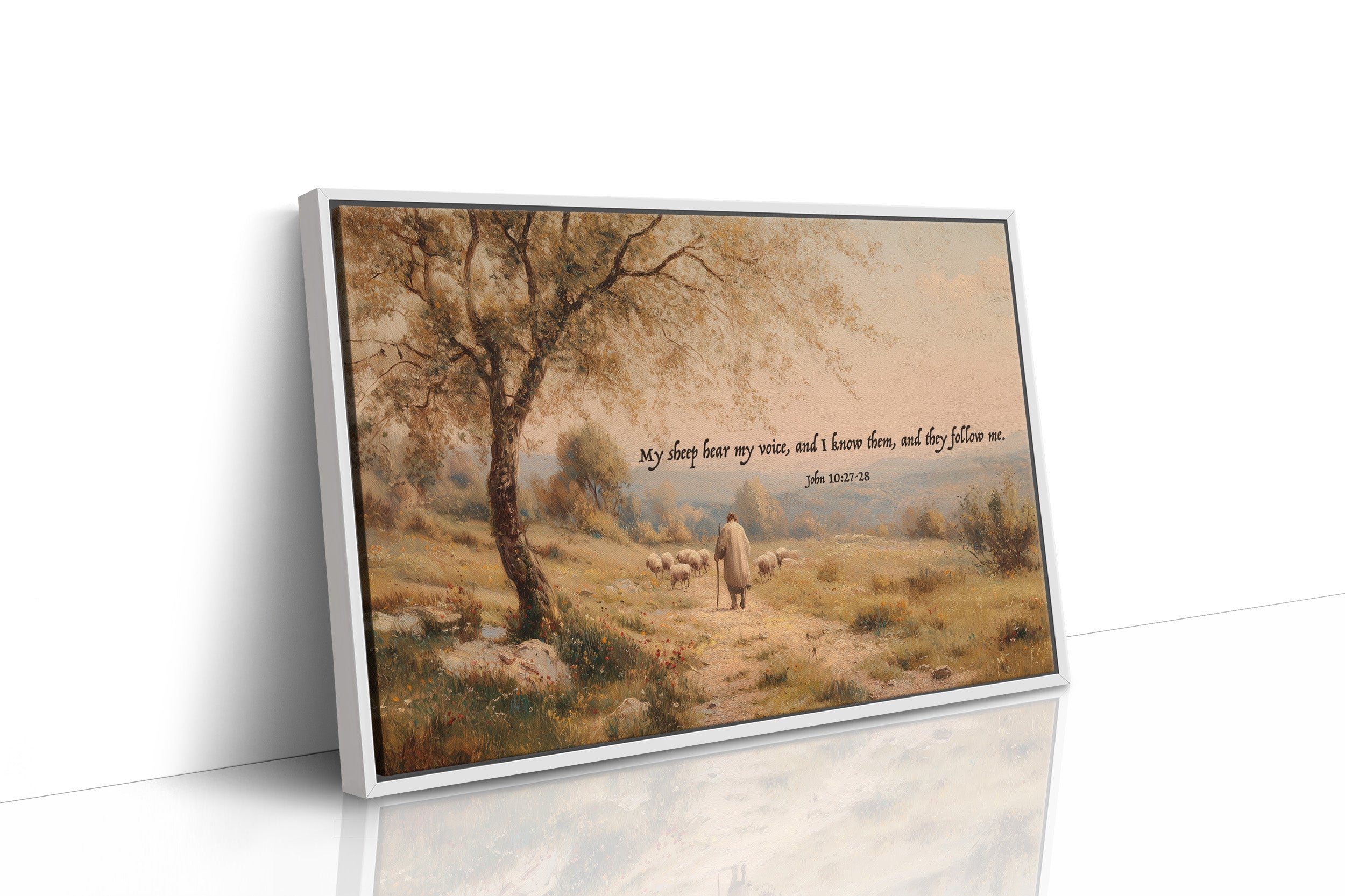 Shepherd's Path In Golden Light