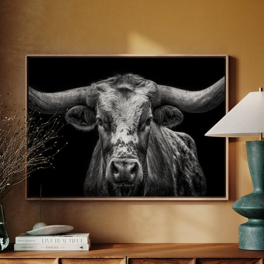 longhorn portrait texas black and white western