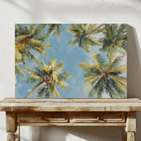 Summer Breeze Lifts Palm Stories