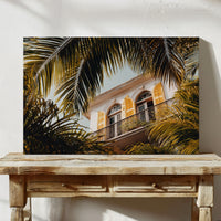 Golden Shutters Behind Palm Veils