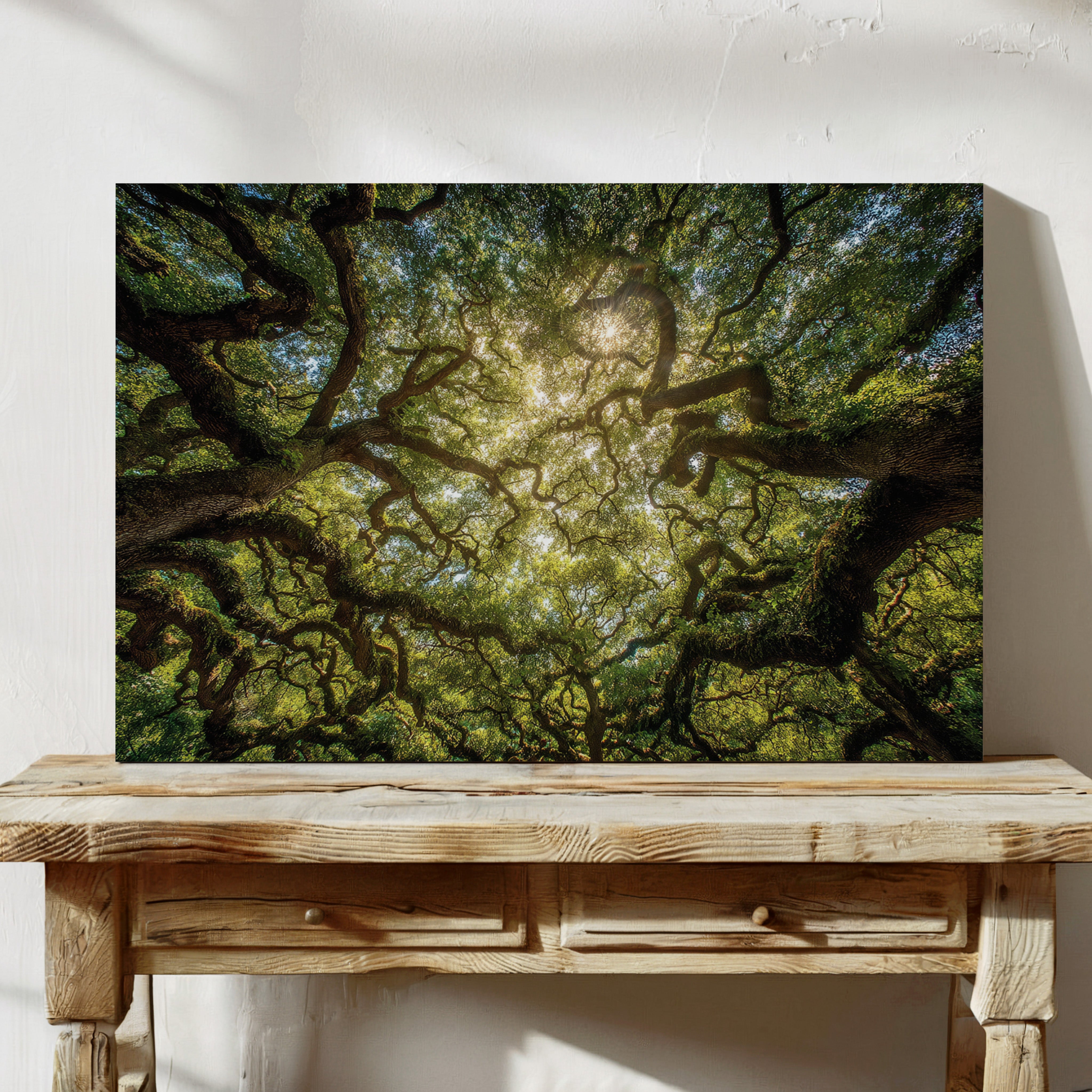 Ancient Oaks Weave Summer Light