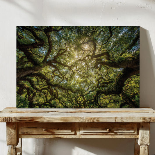 Ancient Oaks Weave Summer Light