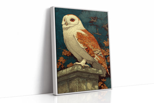 Barn Owl Under Amber Pines