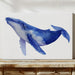 Ocean Giants Paint Their Stories Blue
