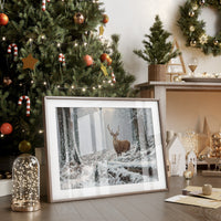 Winter Forest Holds Noble Secret