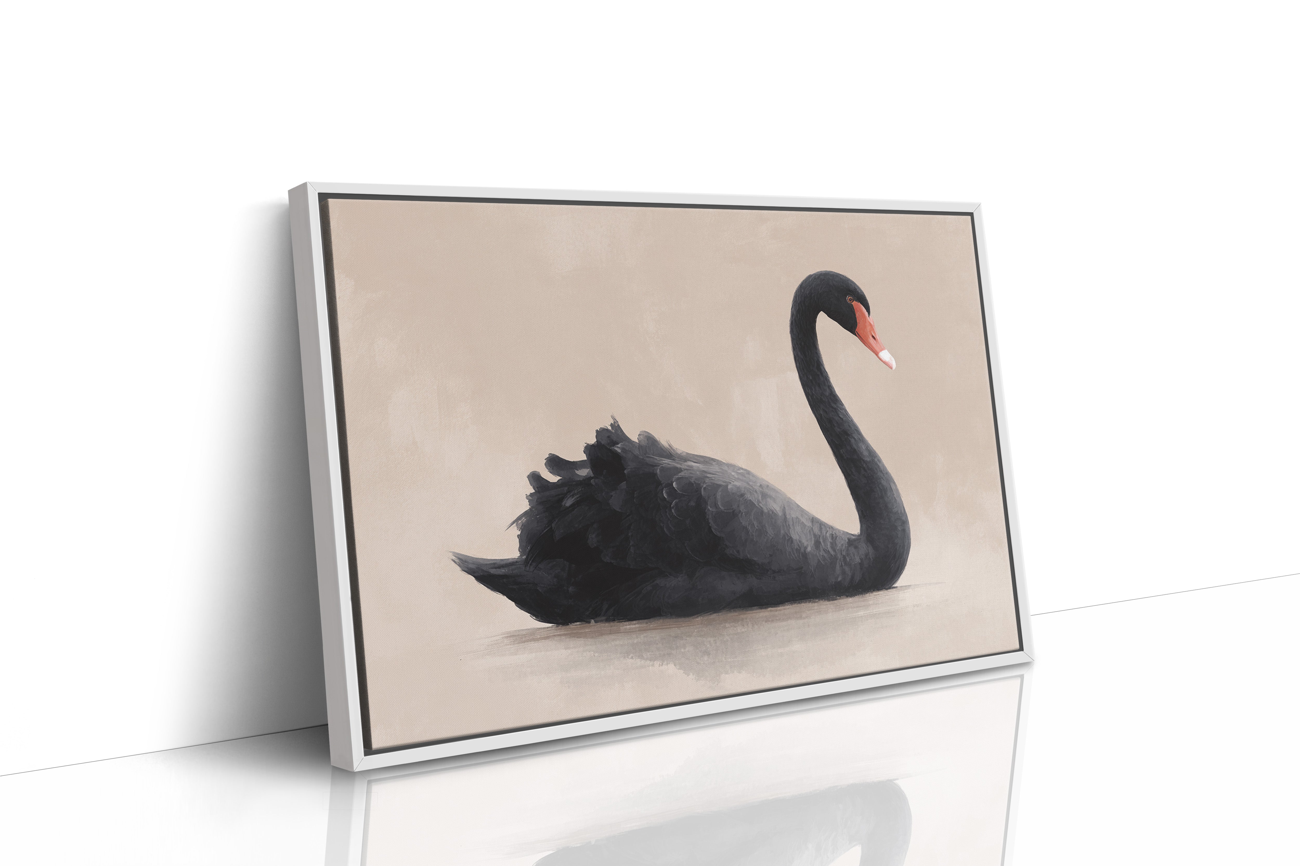 Black Swan Glides Through Blush Dawn