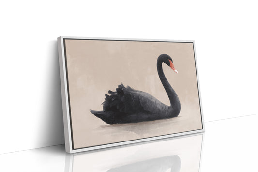 Black Swan Glides Through Blush Dawn