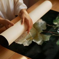 The White Rose Holds Its Light