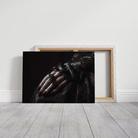 Serpent Tales Between Leather Spines