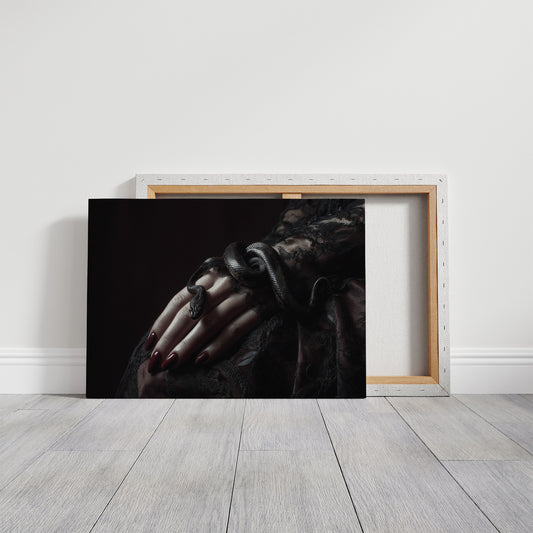 Serpent Tales Between Leather Spines