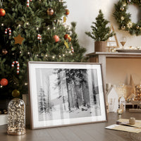 Silent Pines Paint December's Story