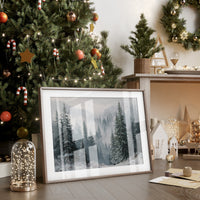 When the Fog Lifted over the Pines