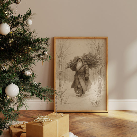 Winter Tales Through Forest Paths
