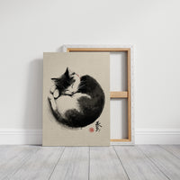 Sleeping Cat Finds Zen Peace