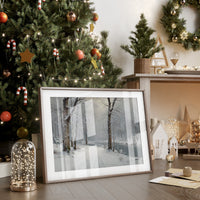 Silent Snow Traces River's Path