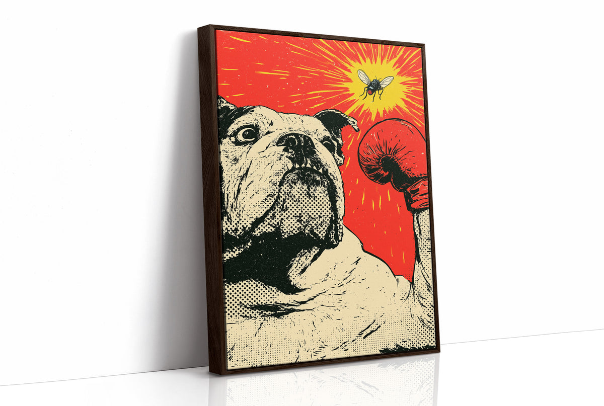 Bulldog Versus Fly Standoff