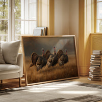 Wild Turkeys March Through Golden Fields