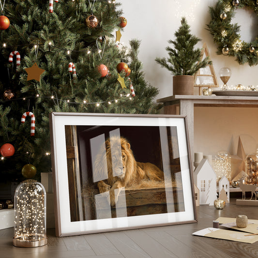 Noble Beast Rests In Golden Light