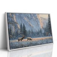 Morning Frost Greets Valley Elk
