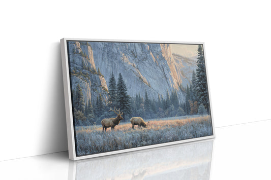 Morning Frost Greets Valley Elk