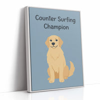 Counter Surfing Champion