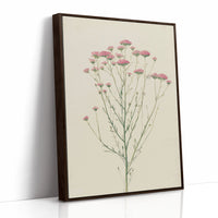 Meadow Gathered Lightly