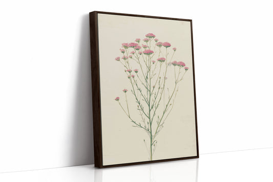 Meadow Gathered Lightly