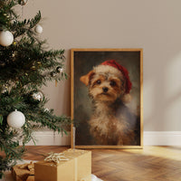 Little Yorkie's First Christmas Tale
