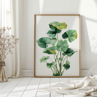 Lotus Leaves Dance In Sunlight