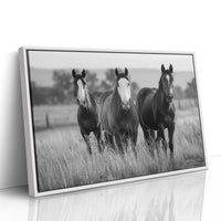 Three Mares Stand Among Prairie Grass