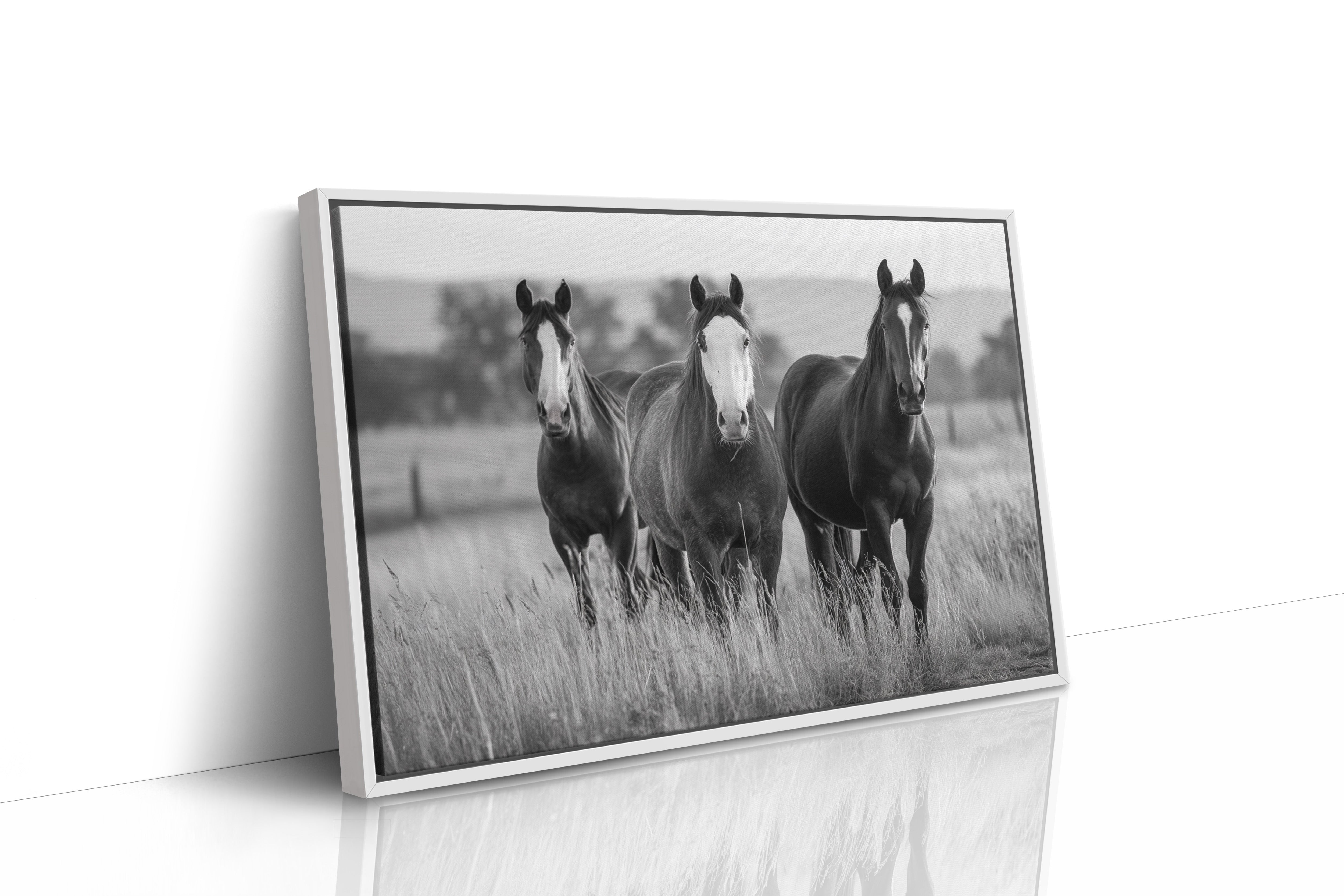 Three Mares Stand Among Prairie Grass