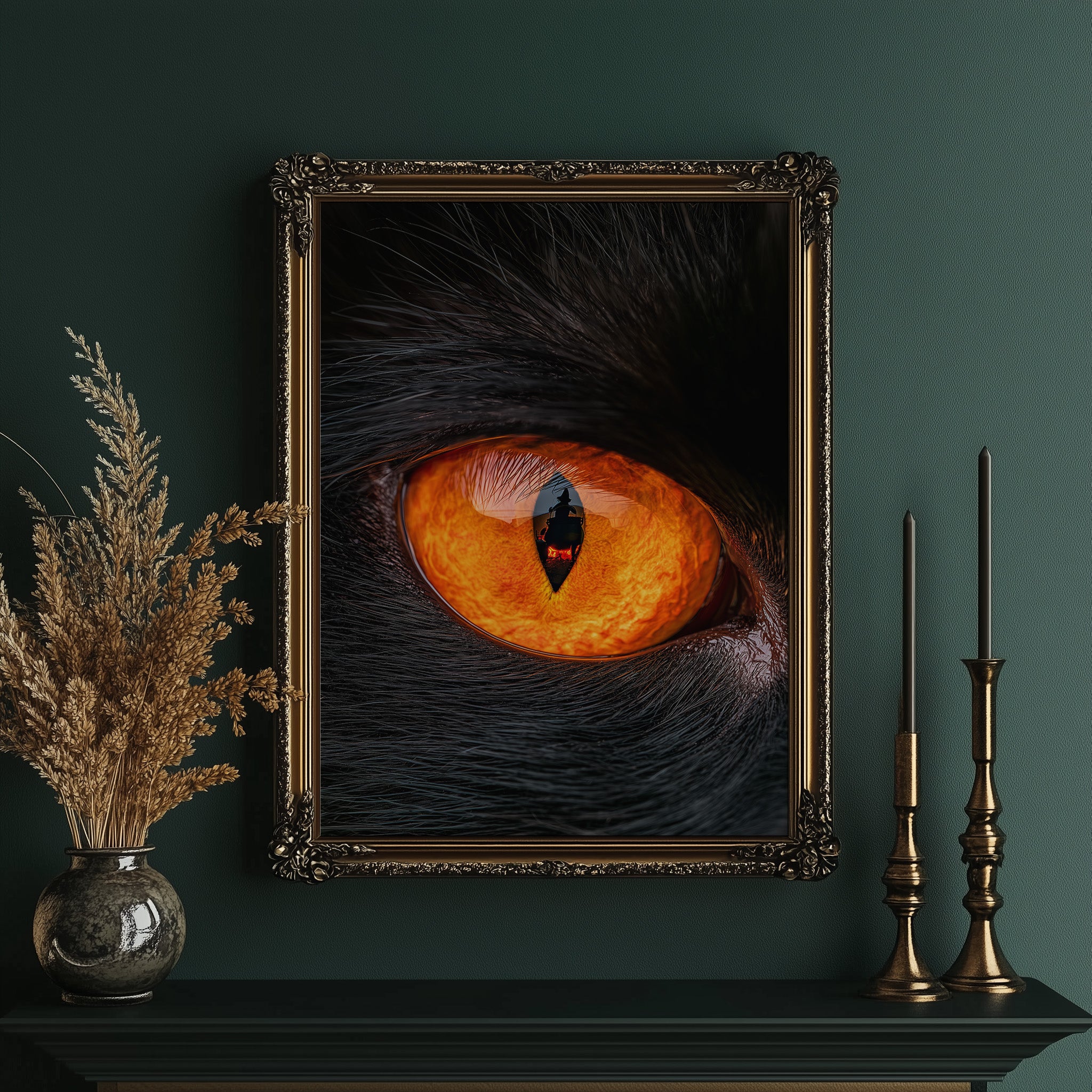 What the Cat's Eye Saw