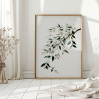 Olive Branches Bend With Grace