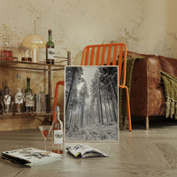 Beneath the Silent Canopy